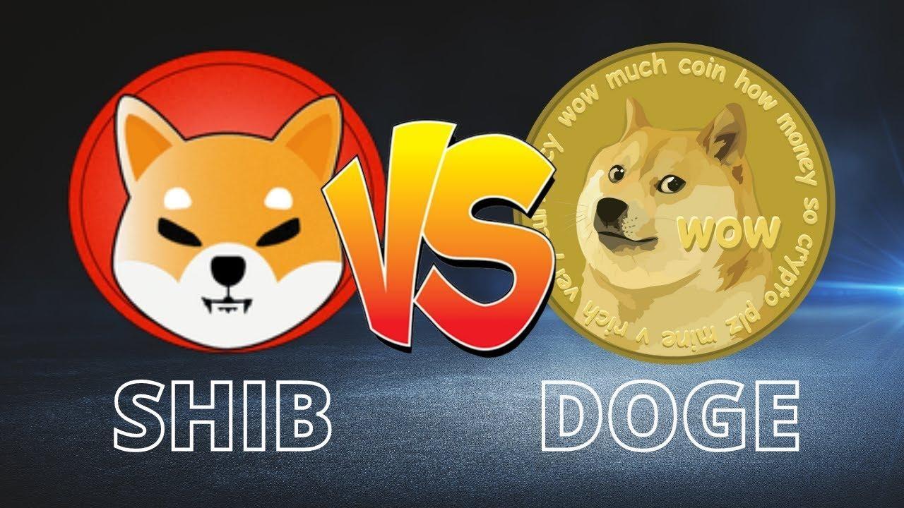 shib币最新价格英为(shib币价格今日行情价格)