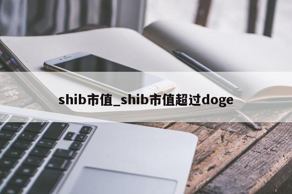 shib充币(shib币有啥用)