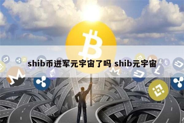 shib持币第一的是(shib持币第一地址是谁的)