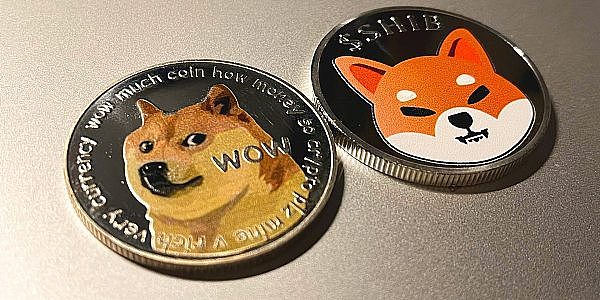 shib持币第一的是(shib持币第一地址是谁的)