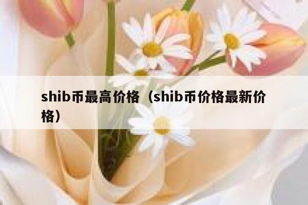 今日shib币(shib币今天的市场价格)