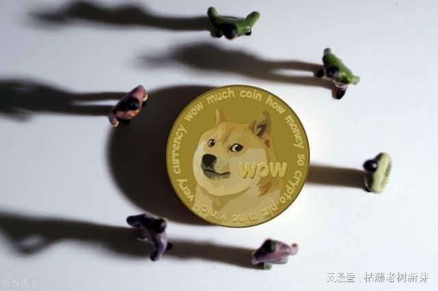 狗币shib(狗币最新价格 今日行情)