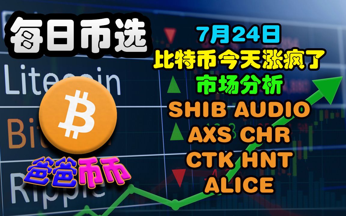 shib币是比特币吗(shib币是什么意思啊)