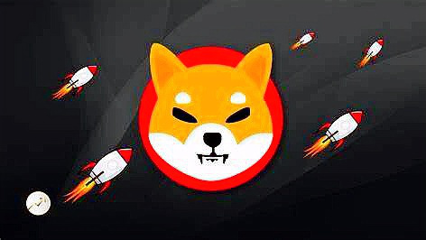 SHIB的持币地址(shib持币地址查询)