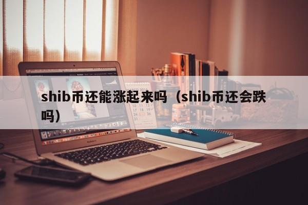shib币上市日期(shib币啥时候发行的)