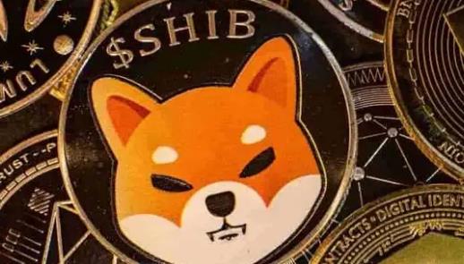 shib币最新消息10.6(shib币最新消息2023年)