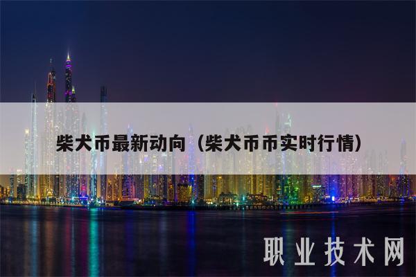 shib这个币怎么样(shib币到底有没有前景)