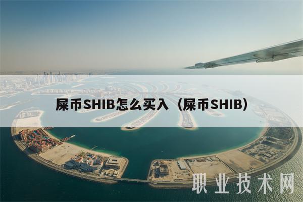 shib币十大持币地址(shib币上架了哪个交易所)