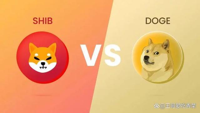 包含shib币市值与doge市值的词条