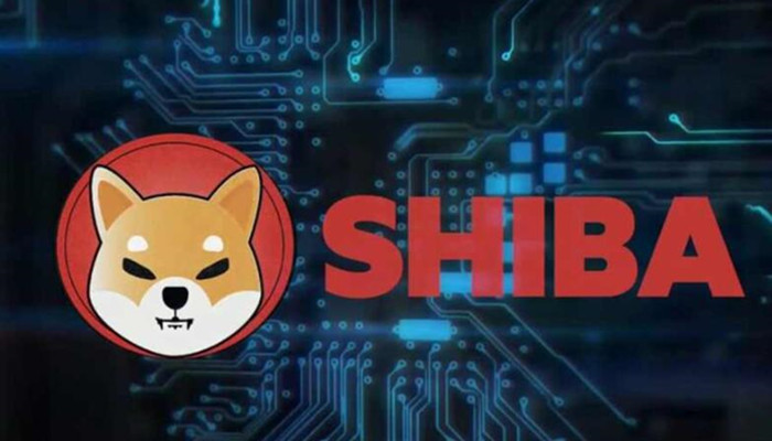 shib是空气币(shib会是空气币吗)