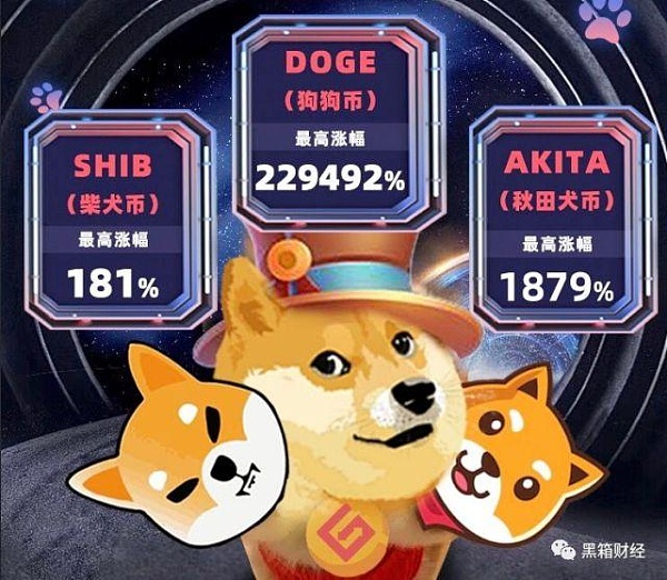 关于shib(poly)币的信息