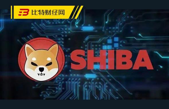 shib币为什么大涨(shib币为什么一直跌)