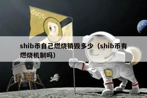 播放shib币一集(shib币一共涨了多少倍)